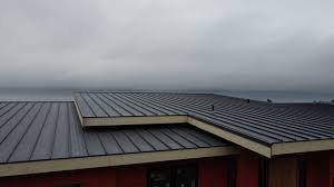 Best Metal Roofing Installation  in Wilton Manors, FL